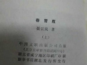 《玉娇龙续集春雪瓶 txt 免费阅读：为什么它如此受欢迎？如何获取？》