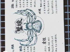 《黑暗之日：狼蛛生存策略与攻略》