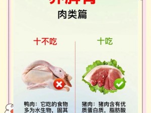 《肉食教师食取报告 3HD 中文：为什么教师要吃肉？如何选择适合的肉类？》