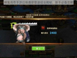 神鬼传奇手游召唤兽获取途径全揭秘，新手必备攻略