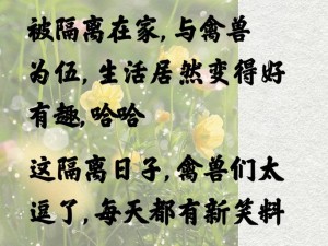 在禽兽家被隔离十四天，该怎么发说说？