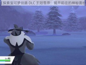 《探索宝可梦剑盾 DLC 王冠雪原：揭开前往的神秘面纱》