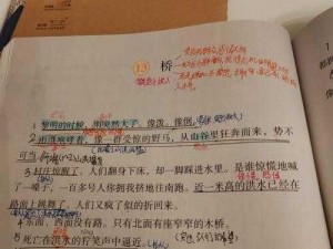 《桥》第二章第六关攻略：突破难关的实用技巧