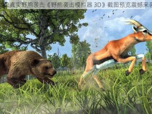 体验真实野熊袭击《野熊袭击模拟器 3D》截图预览震撼来袭