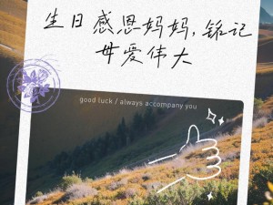 为什么母亲要把自己当作生日礼物送给我？