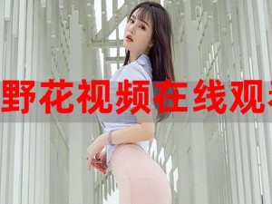 野花高清影视免费观看西瓜，为何如此受欢迎？