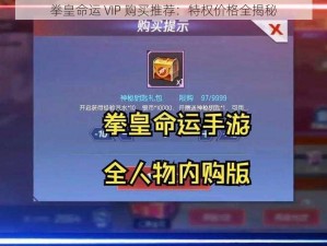 拳皇命运 VIP 购买推荐：特权价格全揭秘