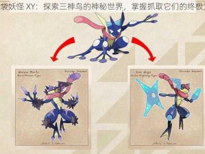 《口袋妖怪 XY：探索三神鸟的神秘世界，掌握抓取它们的终极方法》