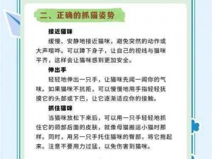 《一起来捉妖公猫获取秘籍：探索捕捉技巧与隐藏地点》