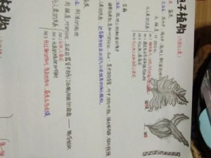 孢子成长初期攻略：新手入门指南与生存技巧全解析