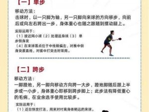 神奇乒乓安装及配置说明：轻松掌握乒乓球技巧的实用指南