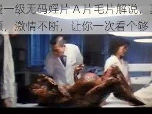 免费一级无码婬片 A 片毛片解说，真人视频，激情不断，让你一次看个够