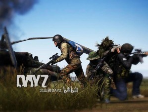 独立生存之道：DayZ独立版生存心得经验分享与探索