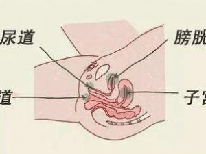 红肿疼痛小缝不能合拢—阴道口红肿疼痛，小缝不能合拢，这是怎么回事？