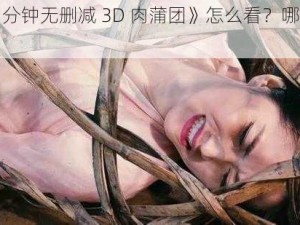 《120 分钟无删减 3D 肉蒲团》怎么看？哪里能看？