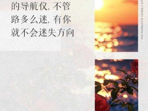 若我迷失方向，你是我的明亮之眼：一曲深情的寻觅之歌