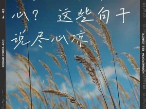 依依深情为何寄凉心？怎样化解这无尽的忧愁？