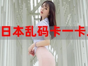 乱码一区入口一欧美 如何进入乱码一区的欧美入口？