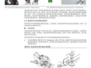 机器人解析与解决方案探索：跳出困境的路径研究