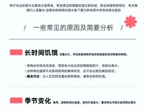 狗狗的东西一放里就变大，这是为什么？如何解决？