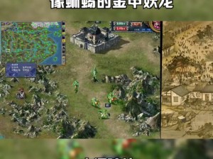 在《三国群英传 7》中，哪里的野怪经验最高？