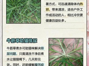 老牛嫩草的一二三产物有何不同？如何辨别？