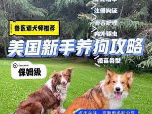 美国 ZOOM 视频狗是什么？有何作用？如何使用？