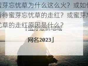 蜜芽忘忧草为什么这么火？或如何看待蜜芽忘忧草的走红？或蜜芽忘忧草的走红原因是什么？