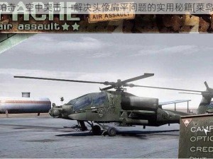 阿帕奇：空中突击——解决头像扁平问题的实用秘籍[菜鸟篇]