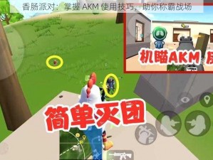 香肠派对：掌握 AKM 使用技巧，助你称霸战场