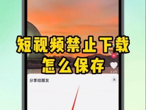 成品禁用视频 APP 下载：为什么-如何-怎样找到合适的替代品？