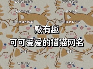 猫咪海外最新地域网名为什么这么难选？有什么方法可以找到适合的？