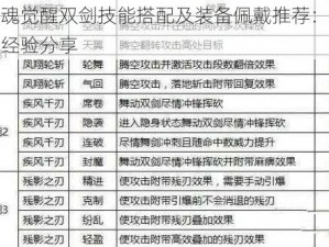 猎魂觉醒双剑技能搭配及装备佩戴推荐：实战经验分享