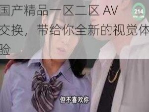 国产精品一区二区 AV 交换，带给你全新的视觉体验