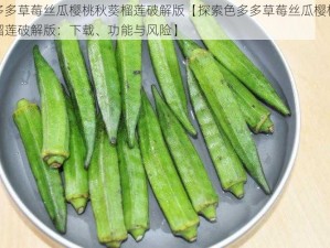 色多多草莓丝瓜樱桃秋葵榴莲破解版【探索色多多草莓丝瓜樱桃秋葵榴莲破解版：下载、功能与风险】