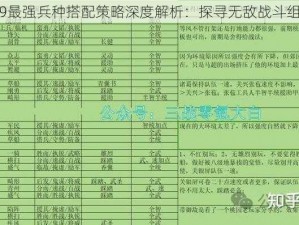 三国志9最强兵种搭配策略深度解析：探寻无敌战斗组合之道