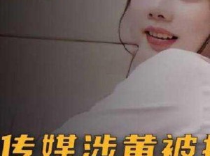 麻豆天美星空 911 是干什么的？为什么那么多人都在问？