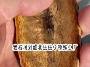 活体肉莲图片照片博物馆大全(活体肉莲图片照片博物馆大全——探索未知的恐怖世界)