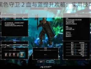 《黑色守卫 2 血与蓝提升攻略：实用技巧分享》