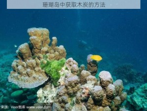 珊瑚岛中获取木炭的方法