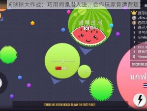 《球球大作战：巧用间谍潜入法，合作玩家竟遭背叛》