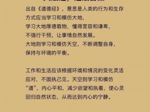 道法果的妙用：一念逍遥中道法果的使用方法和获取途径