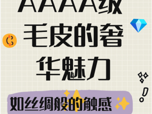 AAAA 级和 AAAA 级有多大差别？如何判断它们的相似度？