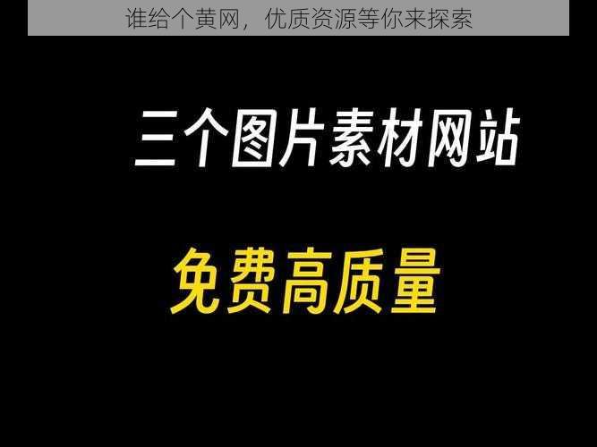 谁给个黄网，优质资源等你来探索