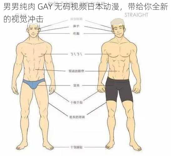 男男纯肉 GAY 无码视频日本动漫,带给你全新的视觉冲击