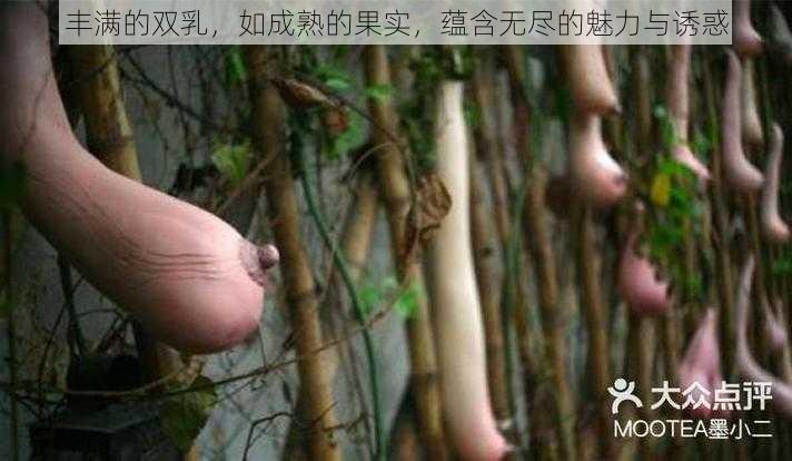 丰满的双乳，如成熟的果实，蕴含无尽的魅力与诱惑