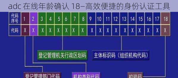 adc 在线年龄确认 18—高效便捷的身份认证工具