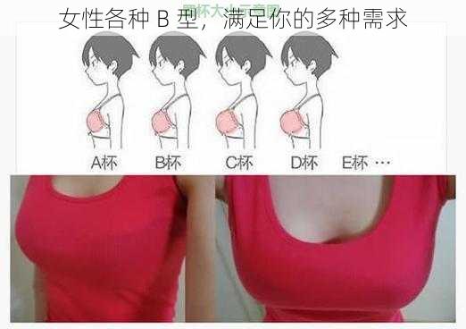 女性各种 B 型，满足你的多种需求