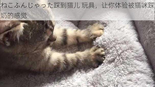 ねこふんじゃった踩到猫儿 玩具，让你体验被猫咪踩奶的感觉