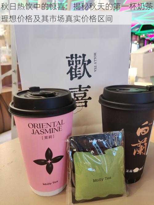 秋日热饮中的惊喜：揭秘秋天的第一杯奶茶理想价格及其市场真实价格区间